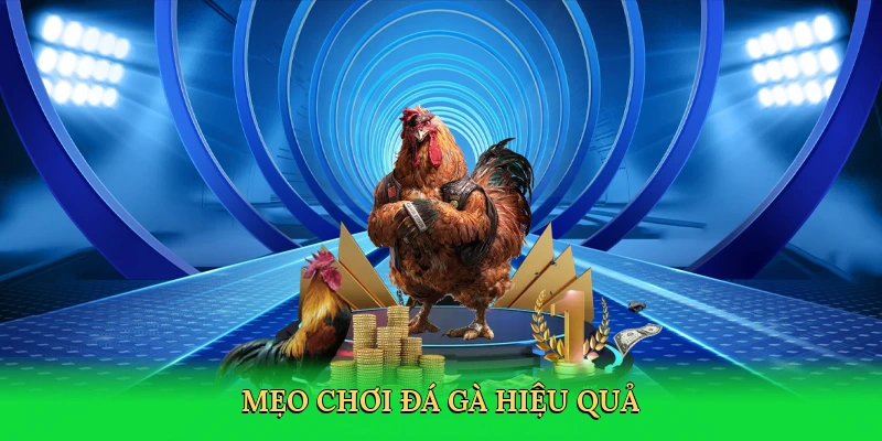meo-choi-da-ga-hieu-qua-4