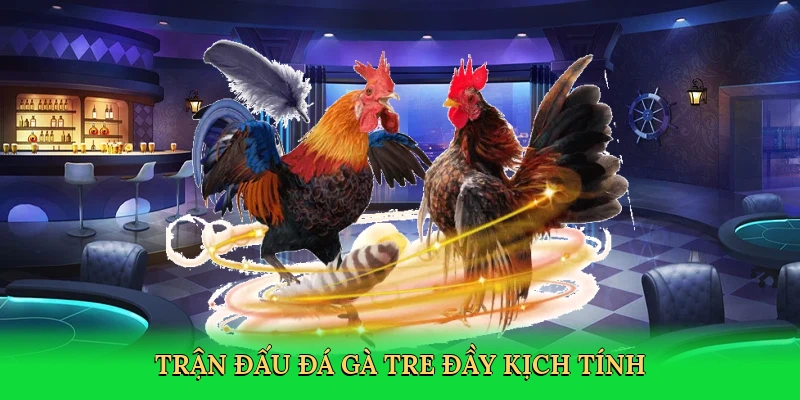 tran-dau-da-ga-tre-day-kich-tinh-2