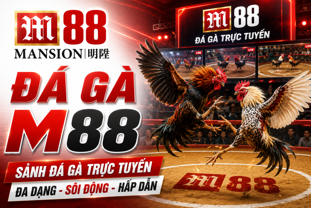 Chi tiết sảnh cược đá gà M88